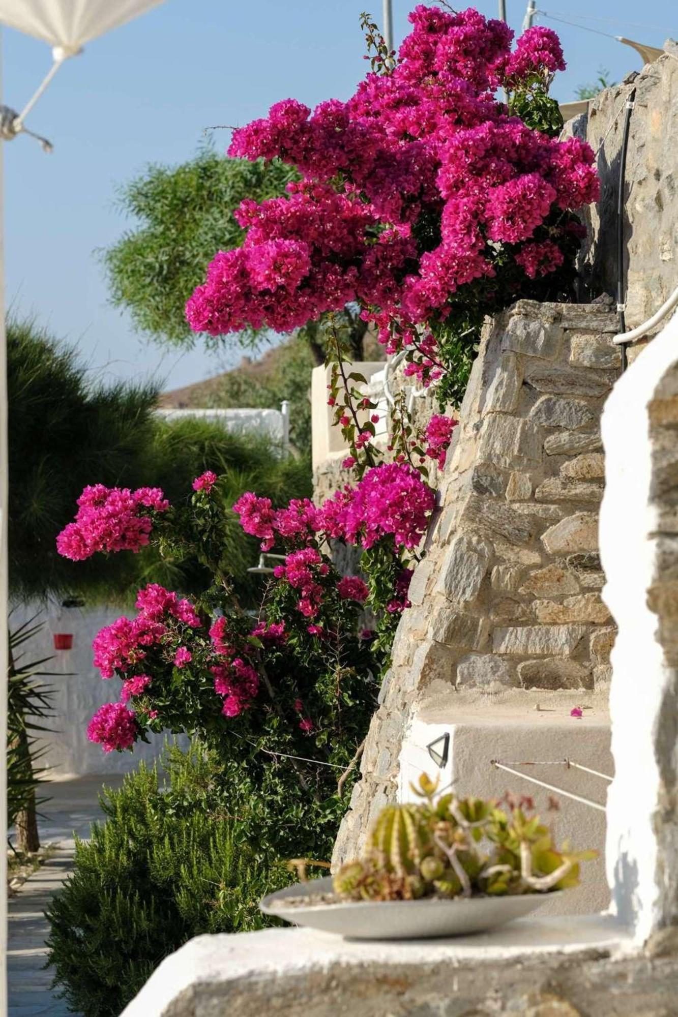 3 Paros All Season Villas Exteriör bild
